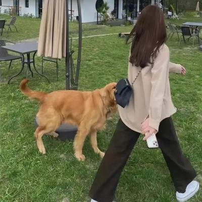 无双龙尊